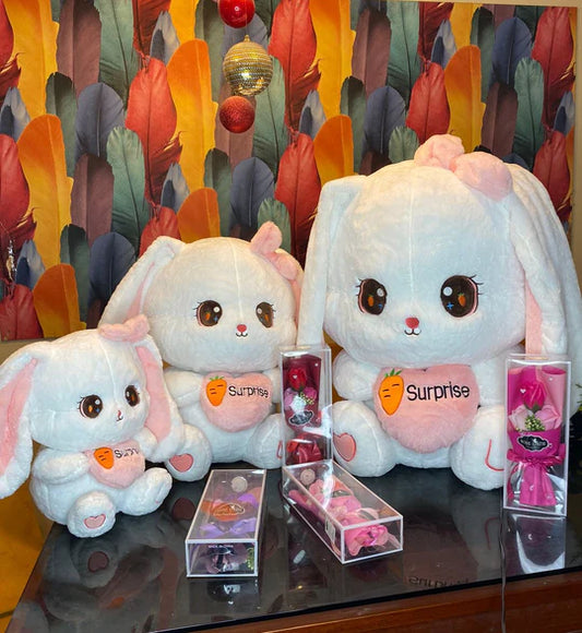 PELUCHE CONEJO KAWAI + RAMITO DE ROSAS ARTIFICIALES 👸💖